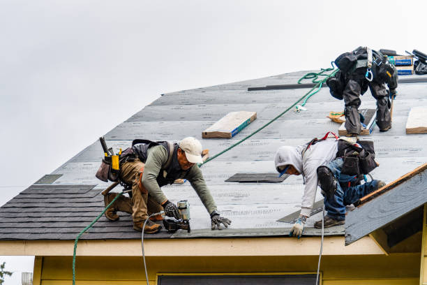 Professional Gutter Installation technician working in Lowry City, MO